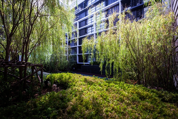 泰國-Mode 61公寓花園