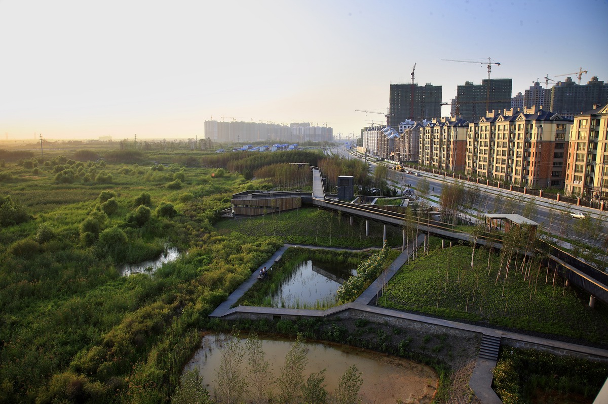 哈爾濱群里濕地公園景觀 