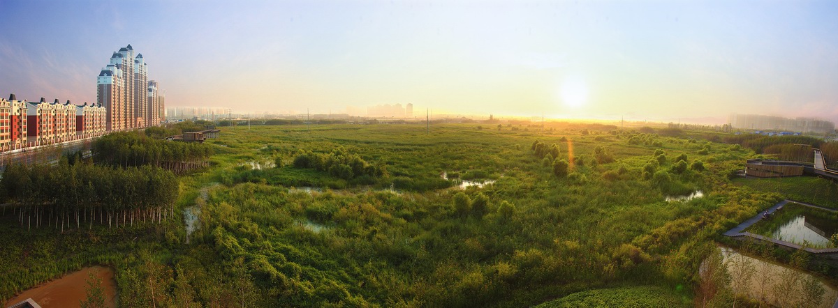 哈爾濱群里濕地公園景觀 