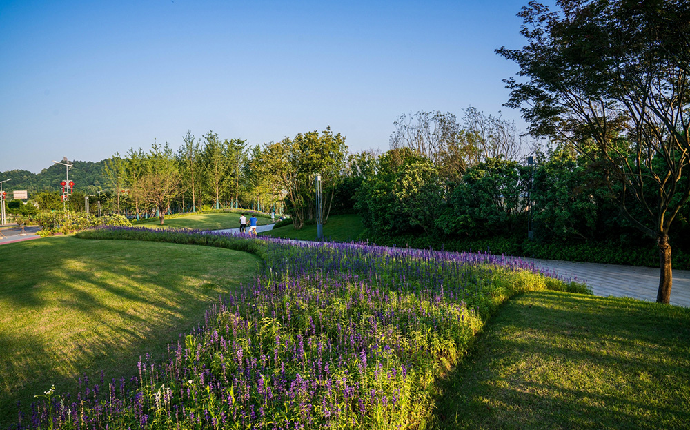 長沙金霞風光帶及鵝羊山公園景觀設計-"THE JOURNEY(旅程）"