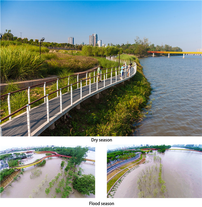 浙江金華燕尾洲濕地公園