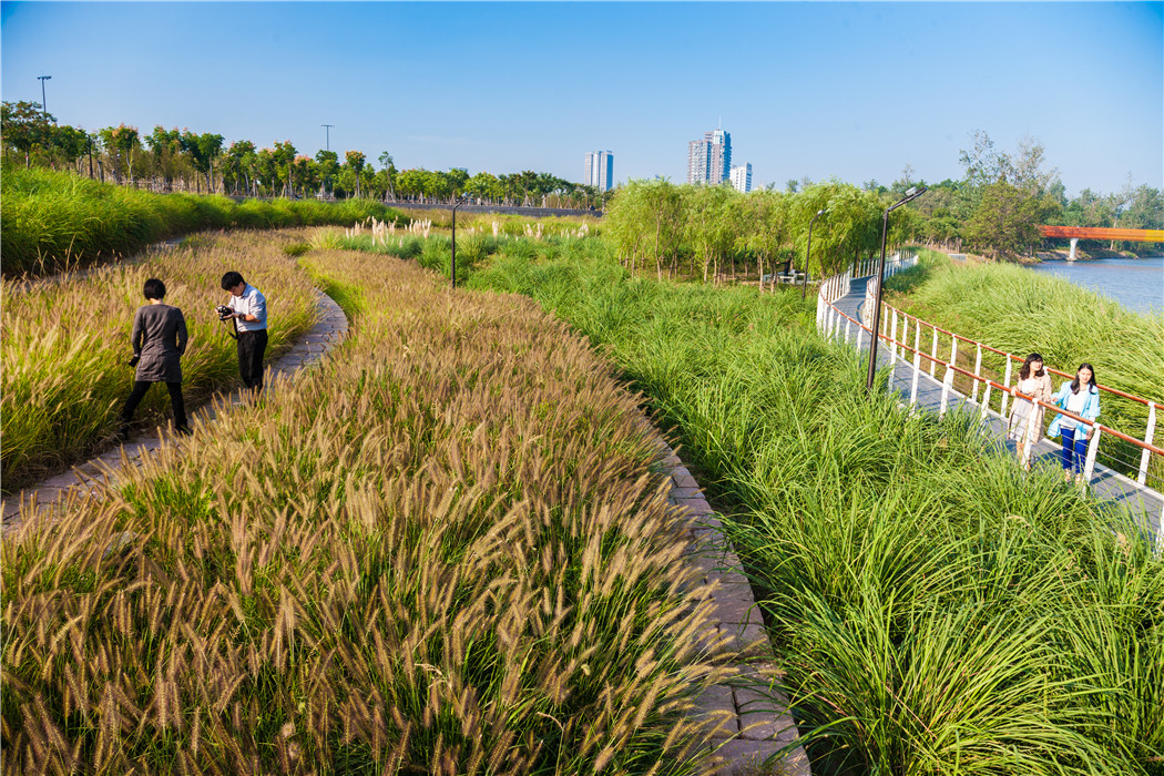 浙江金華燕尾洲濕地公園