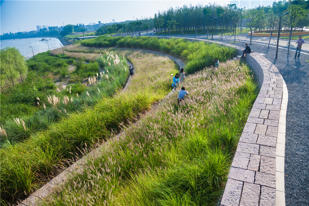 浙江金華燕尾洲濕地公園