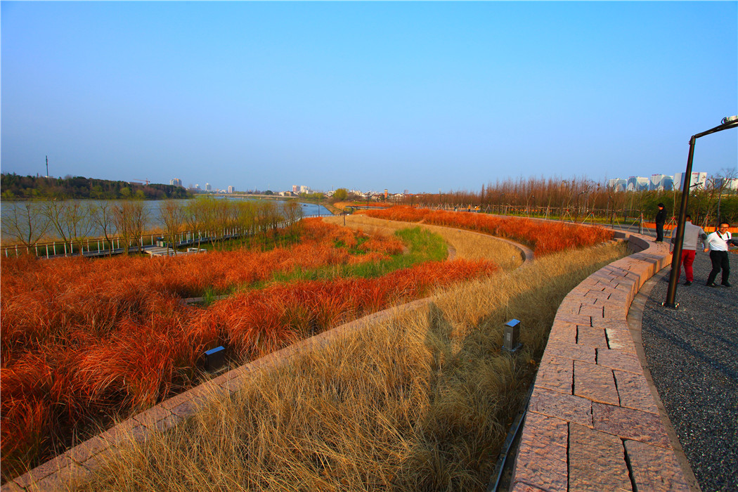 浙江金華燕尾洲濕地公園