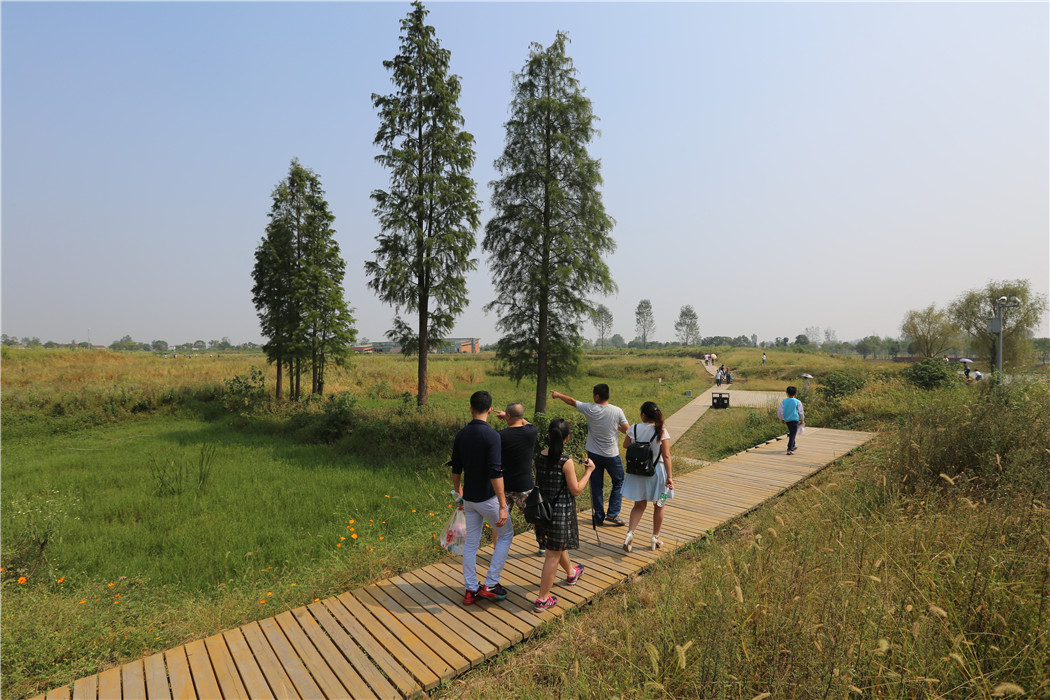 湖南常德城頭山國家考古遺址公園景觀改造