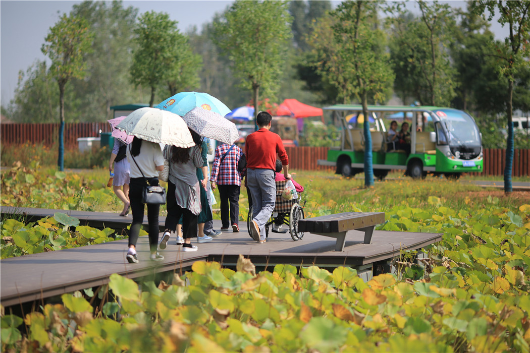 湖南常德城頭山國家考古遺址公園景觀改造