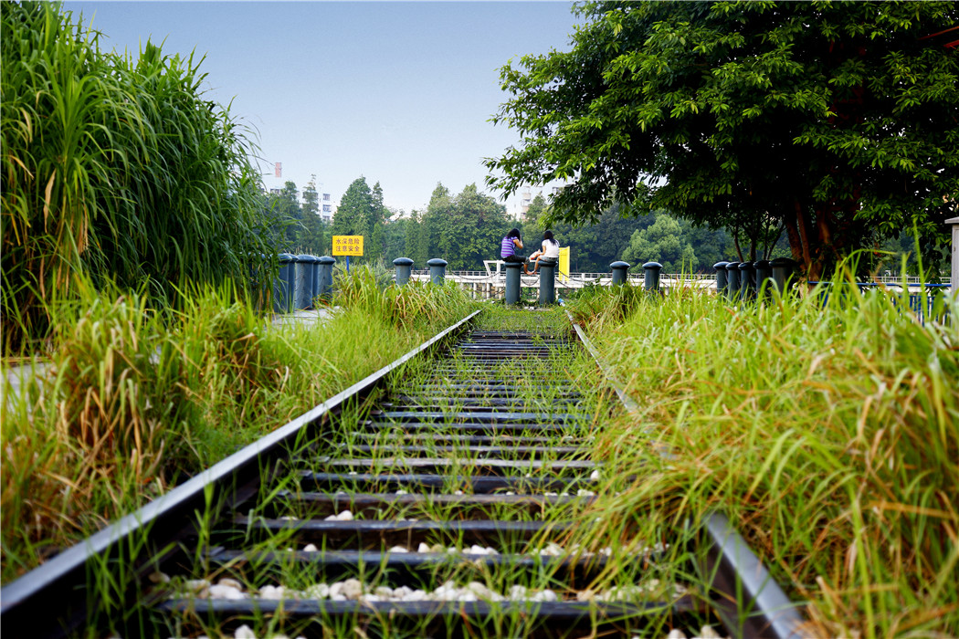 中山岐江公園-棧橋式親水生態湖岸