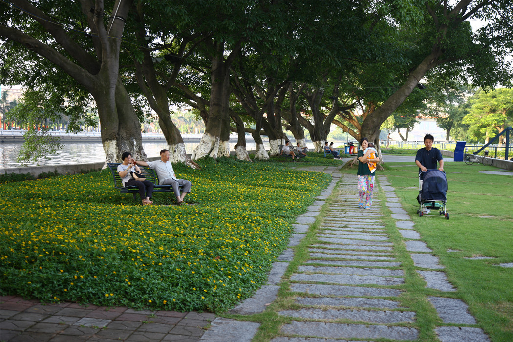 中山岐江公園-棧橋式親水生態湖岸