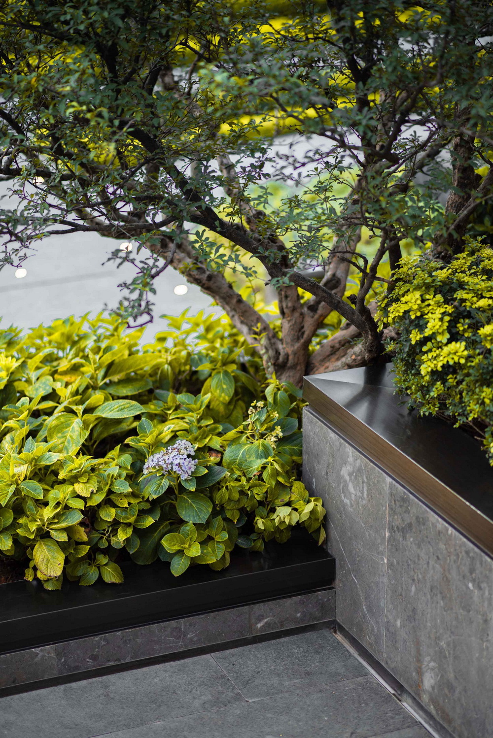 東莞中海云麓公館展示區(qū)景觀